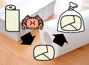 ボイル蟹解凍方法