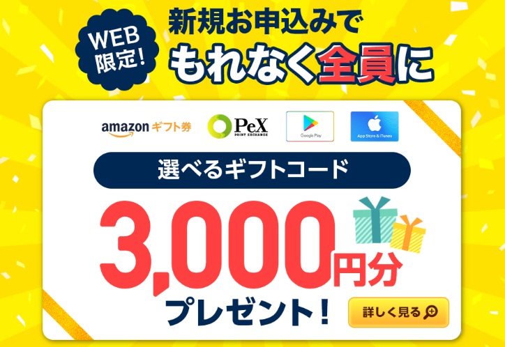 オーシャンキャンペーン